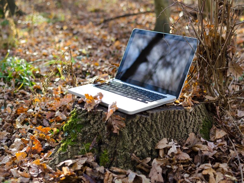 Laptop in a forest