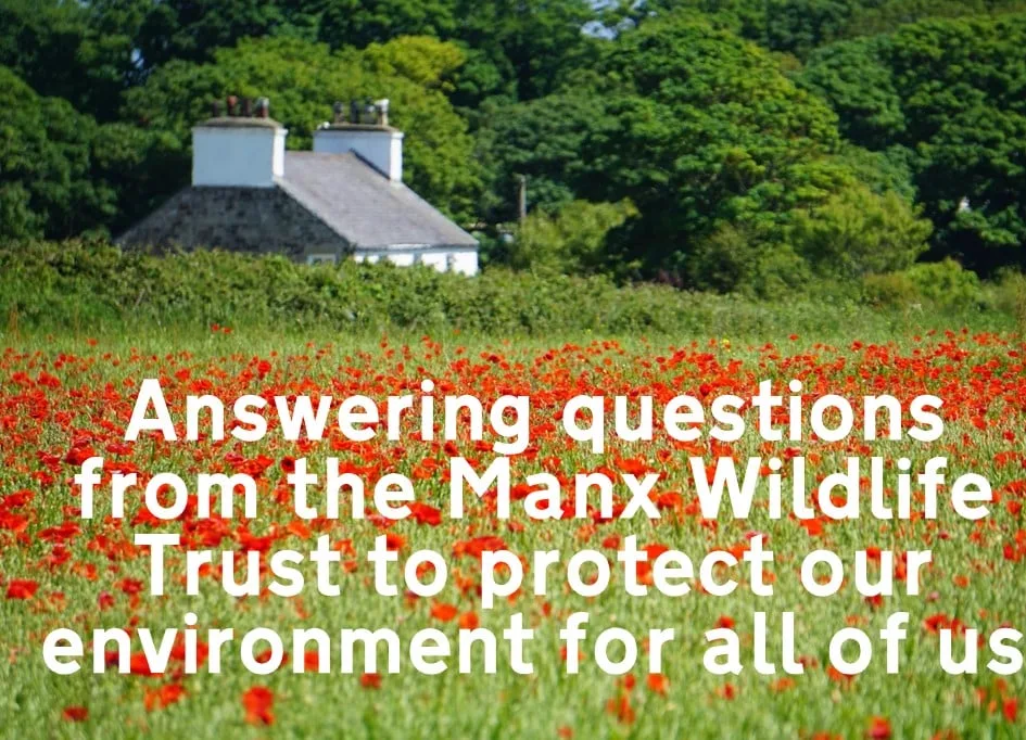 Answering questions from the Manx Wildlife Trust to protect our environment for all of us