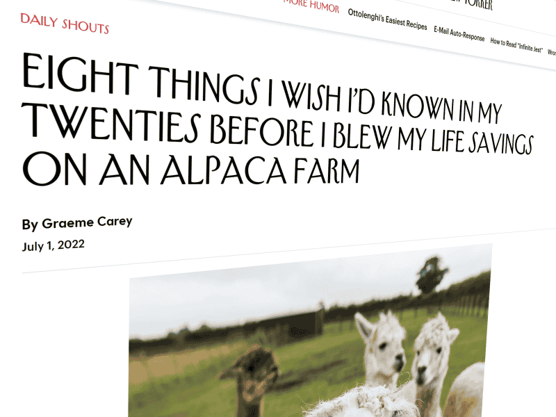 New Yorker article about alpaca farming