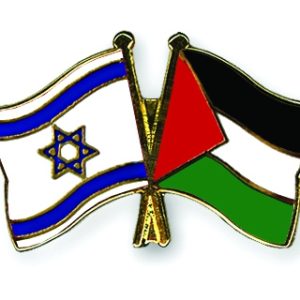 Israel / Palestine Friendship Peace Pins